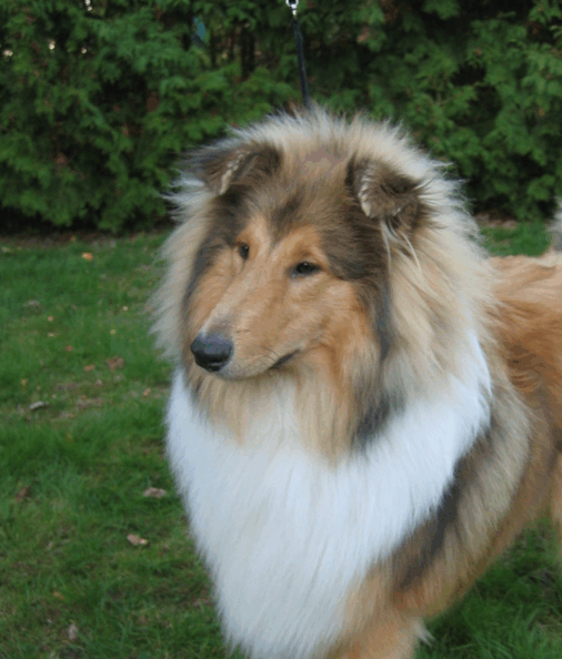 Carlos mit 8 Monaten